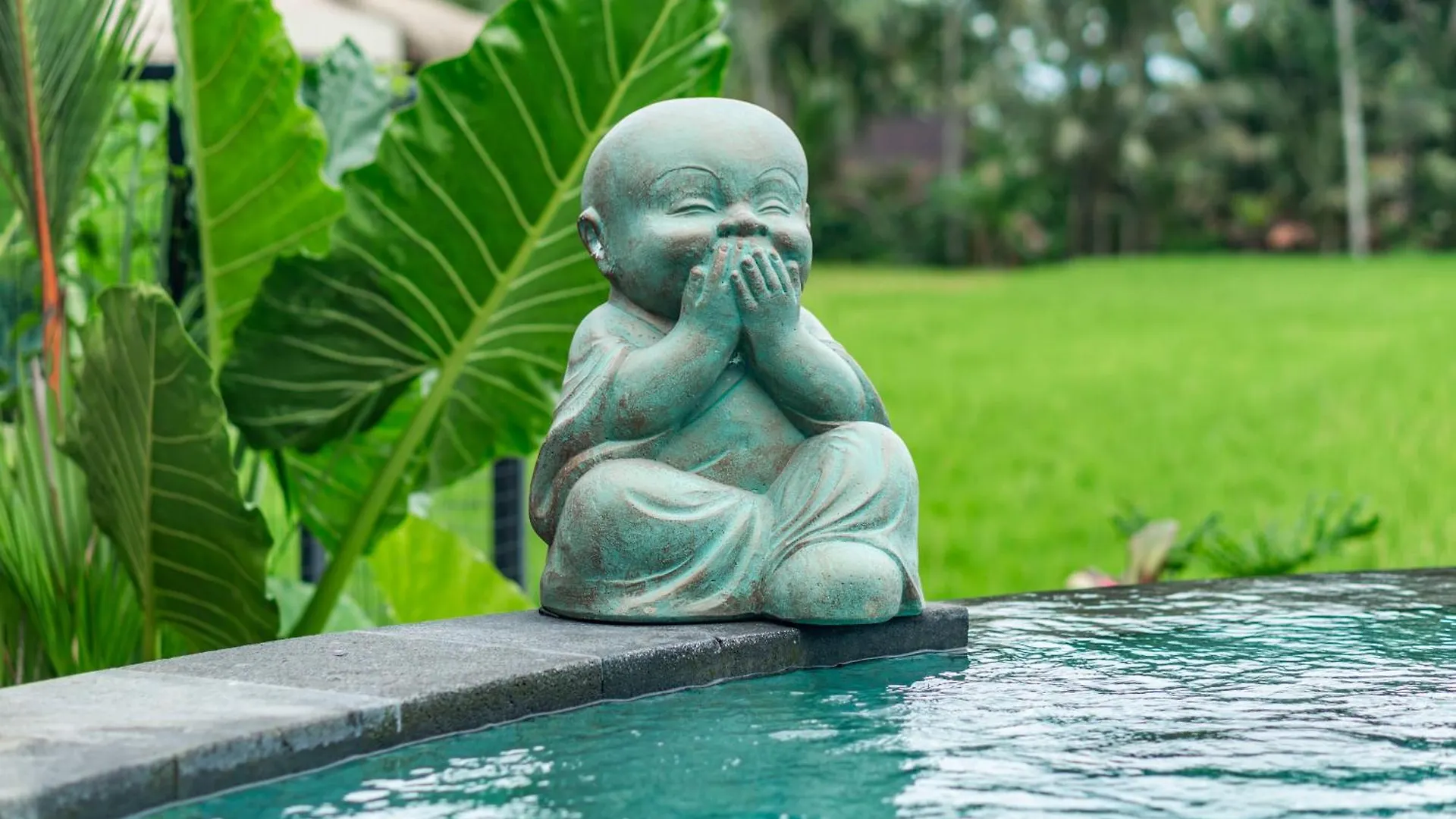 Aix Di Sawah Ubud