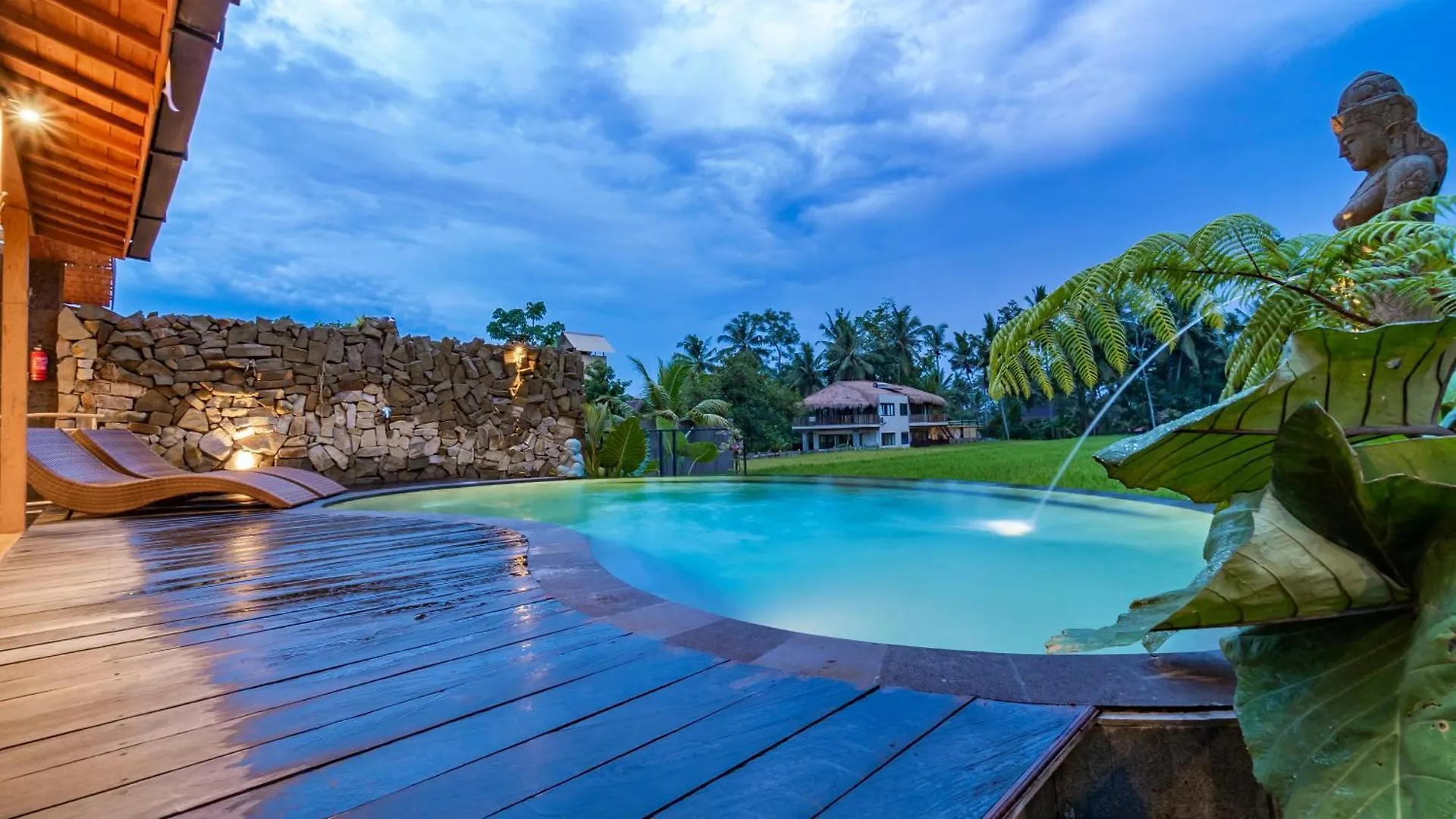 Aix Di Sawah Ubud Indonesia