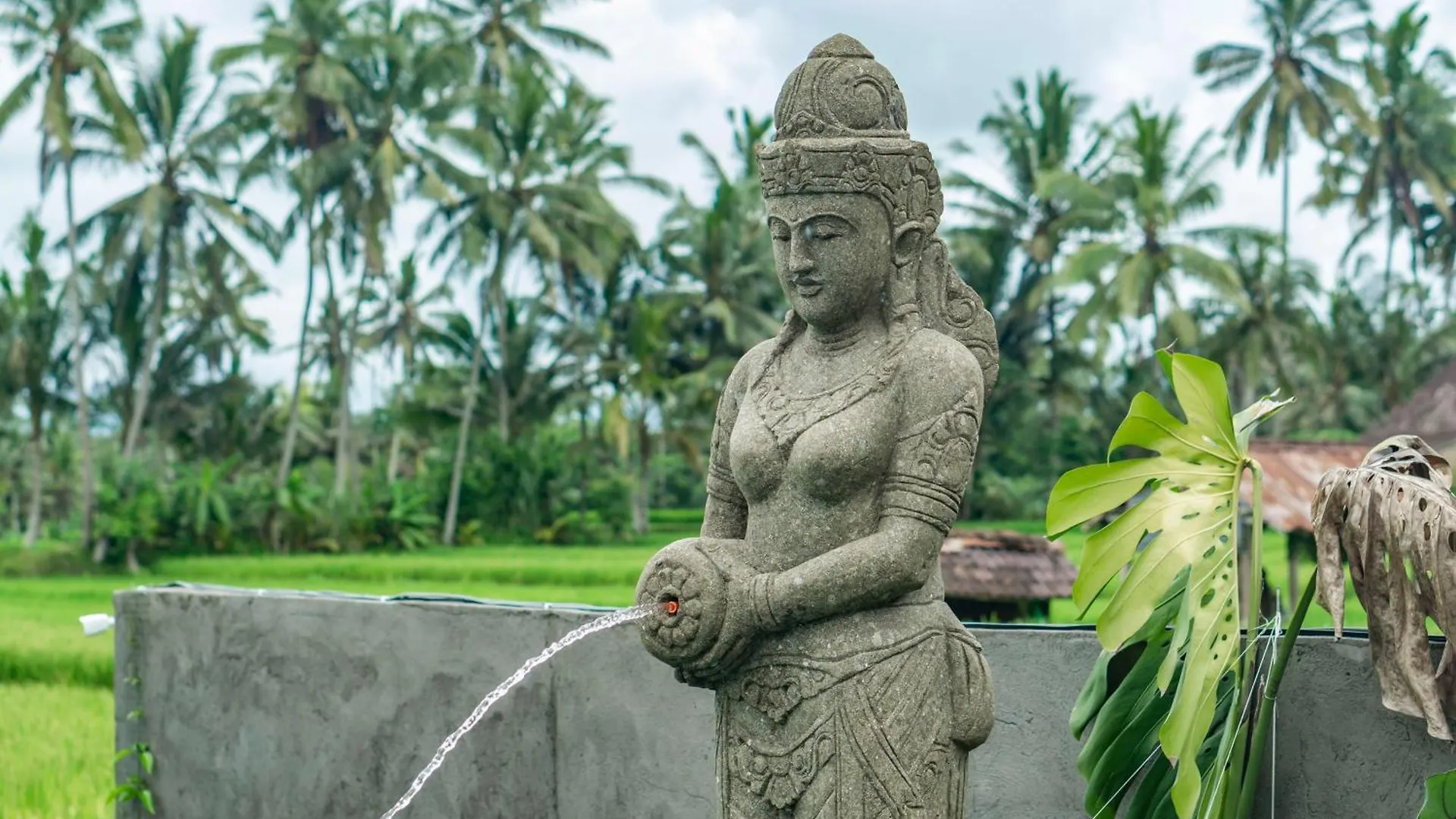 Aix Di Sawah Ubud 0*, Ubud (Bali)