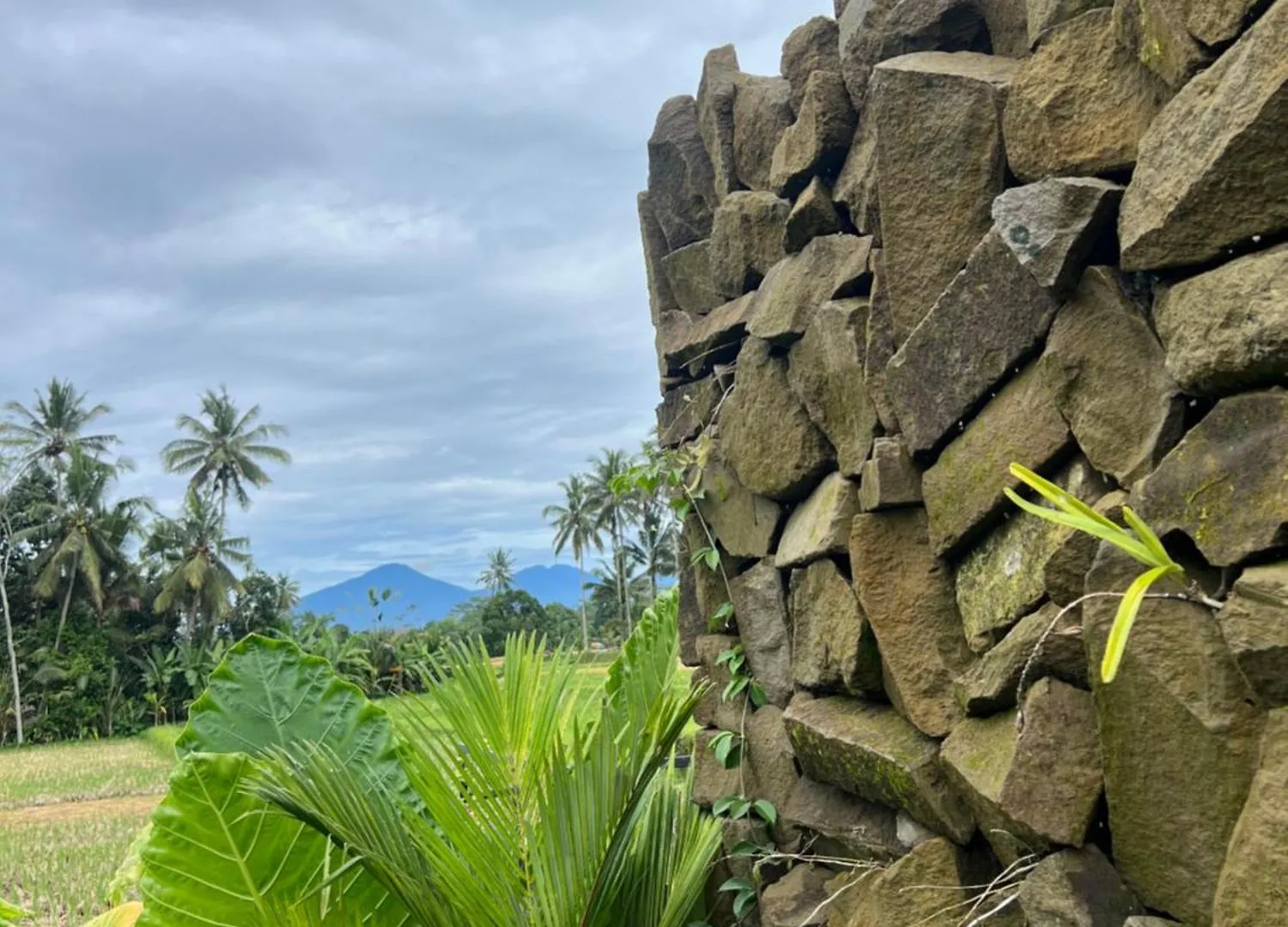 Villa Aix Di Sawah Ubud