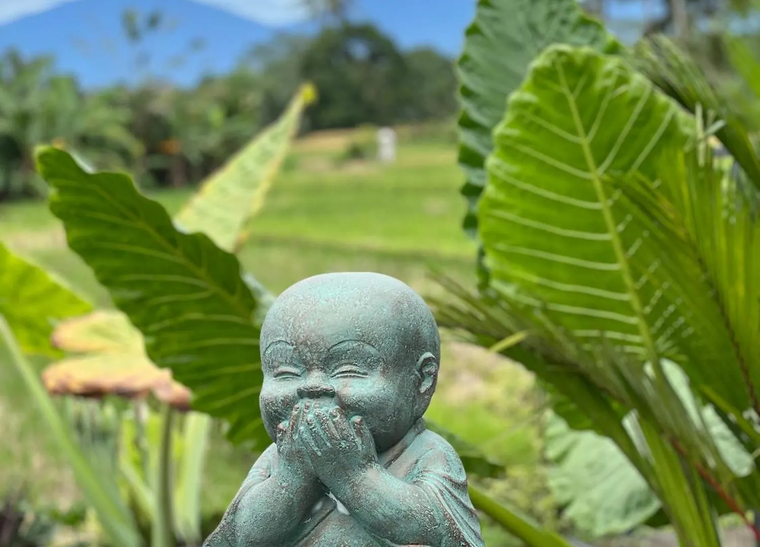 Aix Di Sawah Ubud